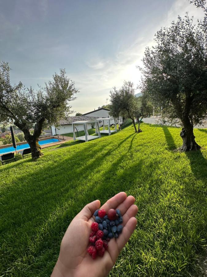 Agriturismo Maison 1933 Каприно-Веронезе Экстерьер фото